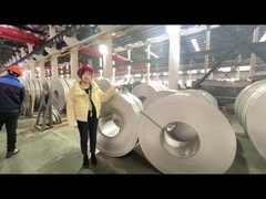 Scoli di acciaio inossidabile